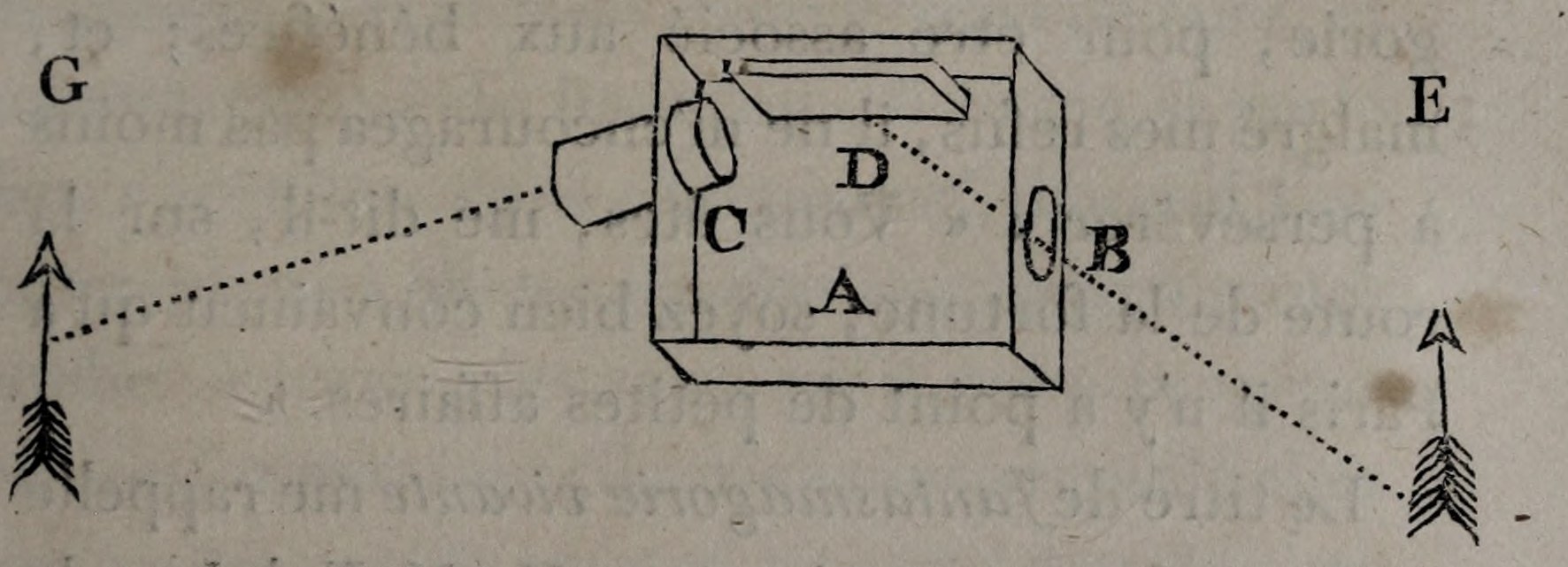 Animated megascope; original engraving