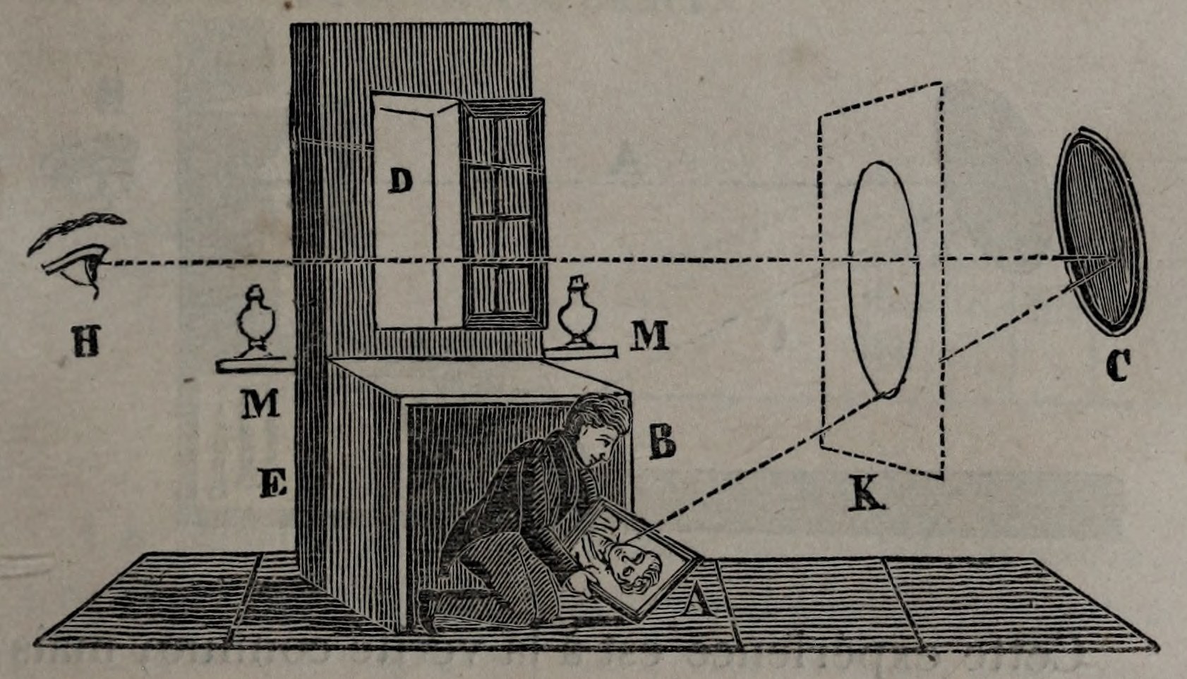 The image of a living person; original engraving