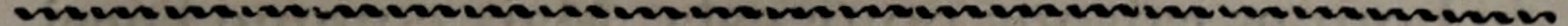 Original chapter ornamental rule
