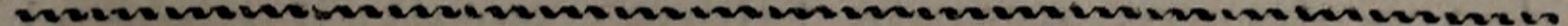 Original chapter ornamental rule